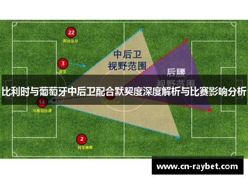 比利时与葡萄牙中后卫配合默契度深度解析与比赛影响分析
