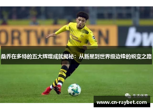 桑乔在多特的五大辉煌成就揭秘：从新星到世界级边锋的蜕变之路