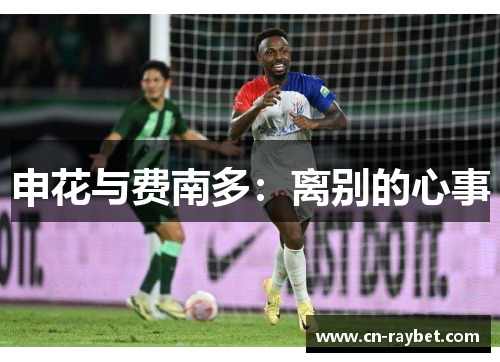 申花与费南多：离别的心事