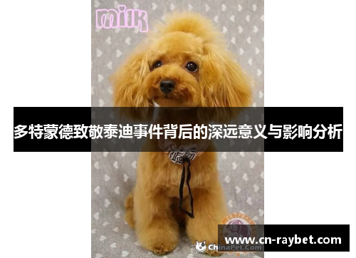 多特蒙德致敬泰迪事件背后的深远意义与影响分析